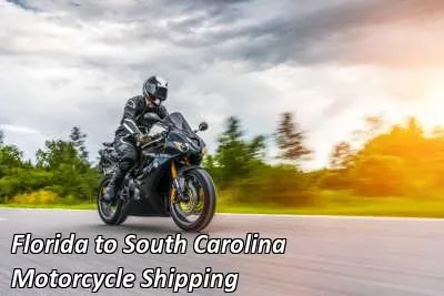 Rider on a dark cruiser motorcycle on an open road, Florida to South Carolina motorcycle shipping